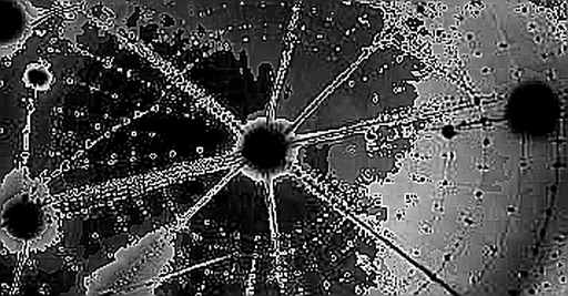 The Geometry of Trust: What the AI Hardware Crash Reveals About Decentralized Compute
