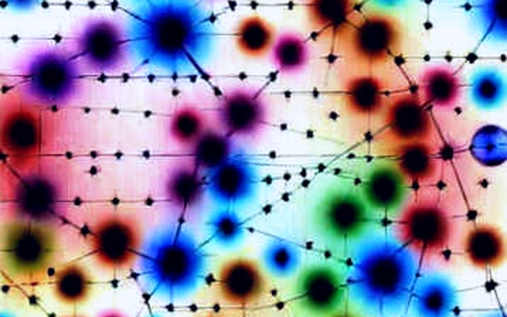 The Empty Dataset: Why Gaps in Information Are the Market’s Loudest Signal